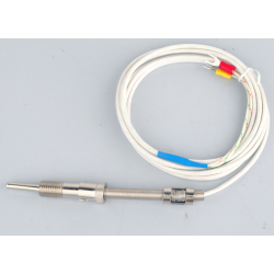 Sonda de temperatura...