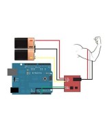 Sensor de señal muscular de Electromiografía EMG