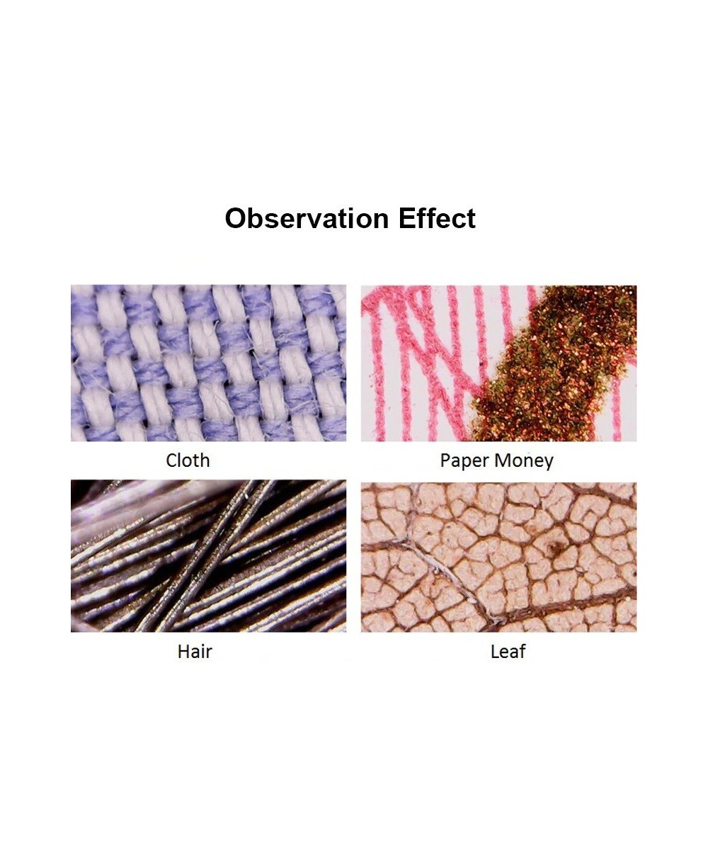 Microscopio Digital Inalambrico WIFI USB 5MP 600X