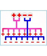 Distribuidor de Energia 2 en 8 para Riel DIN