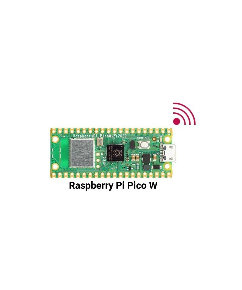 Raspberry pi pico W