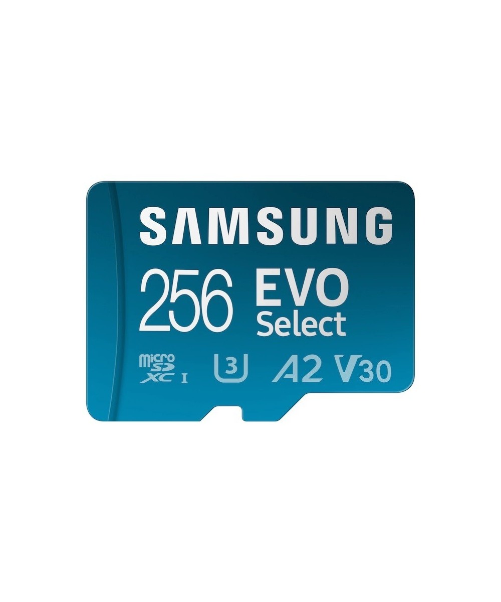 Memoria Micro SD Samsung EVO