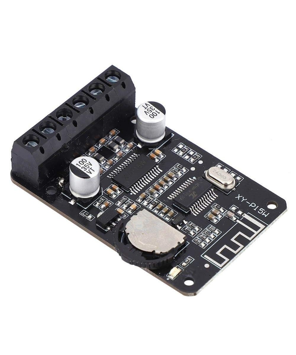 Tarjeta amplificadora de audio bluetooth XY-P15W Con case