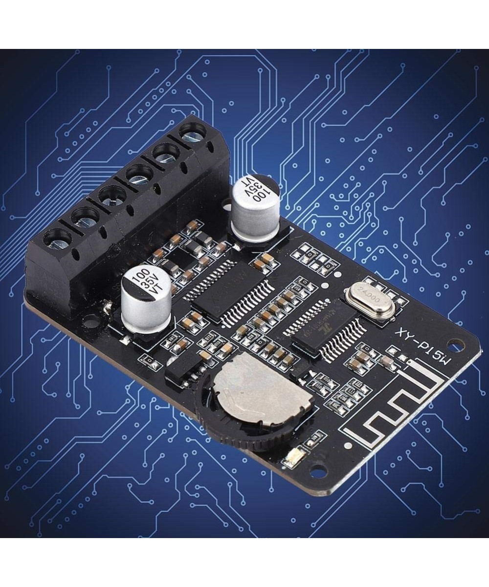 Tarjeta amplificadora de audio bluetooth XY-P15W Con case