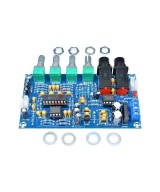 Modulo Preamplificador para microfono XH-M173 PT2399