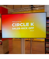 Plan Profesional Wink