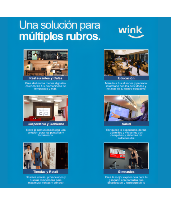 Plan Profesional Wink
