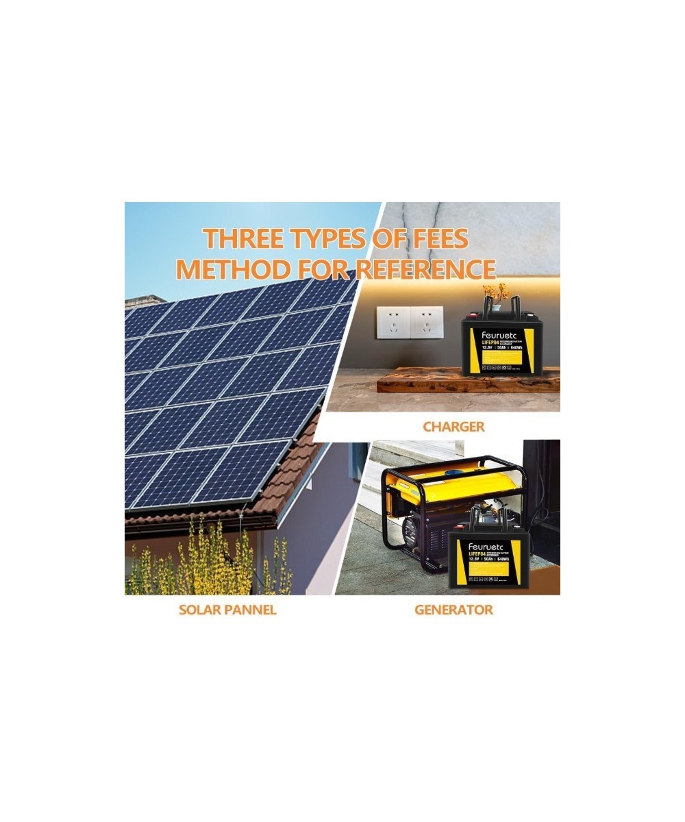 Batería de ciclo profundo LiFePO4 de 12V 50Ah recargable FEURUETC