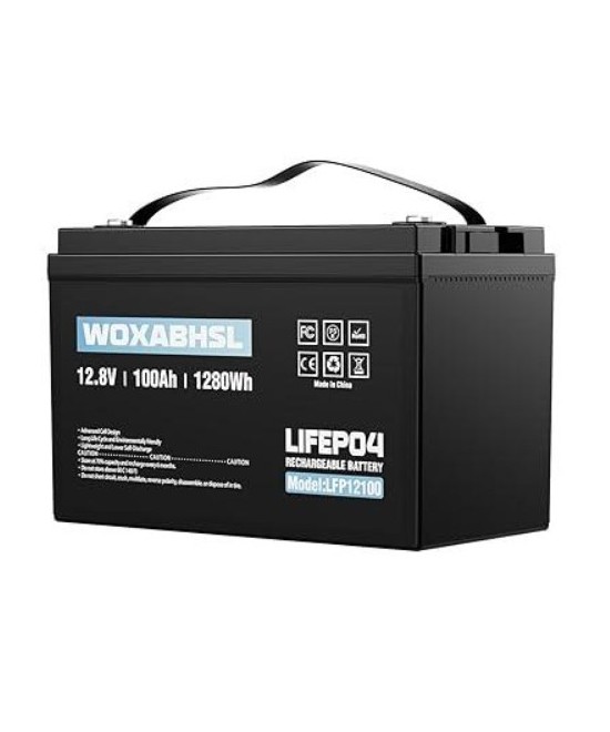 Batería de ciclo profundo LiFePO4 de 12V 100Ah recargable WOXABHSL