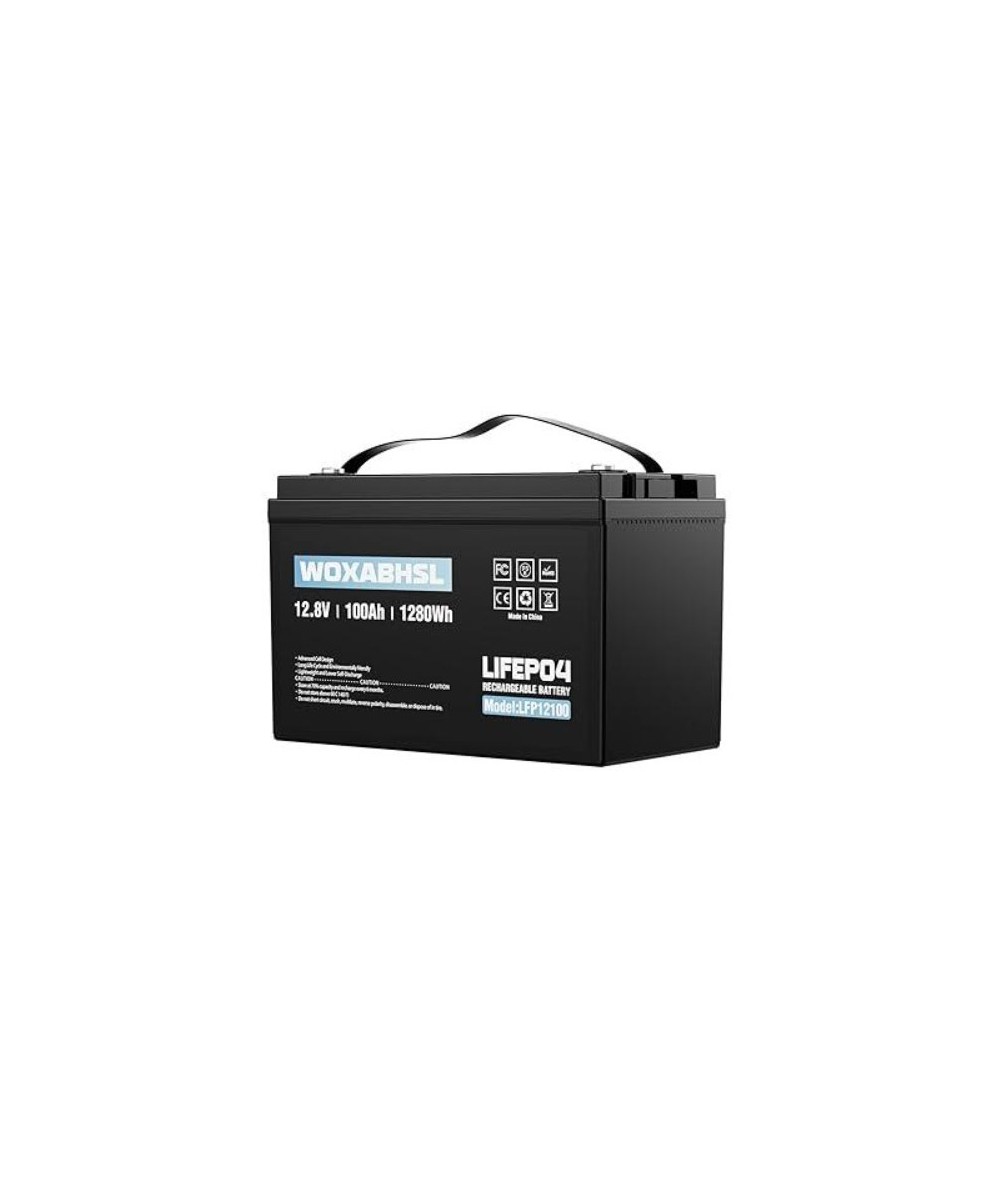 Batería de ciclo profundo LiFePO4 de 12V 100Ah recargable WOXABHSL