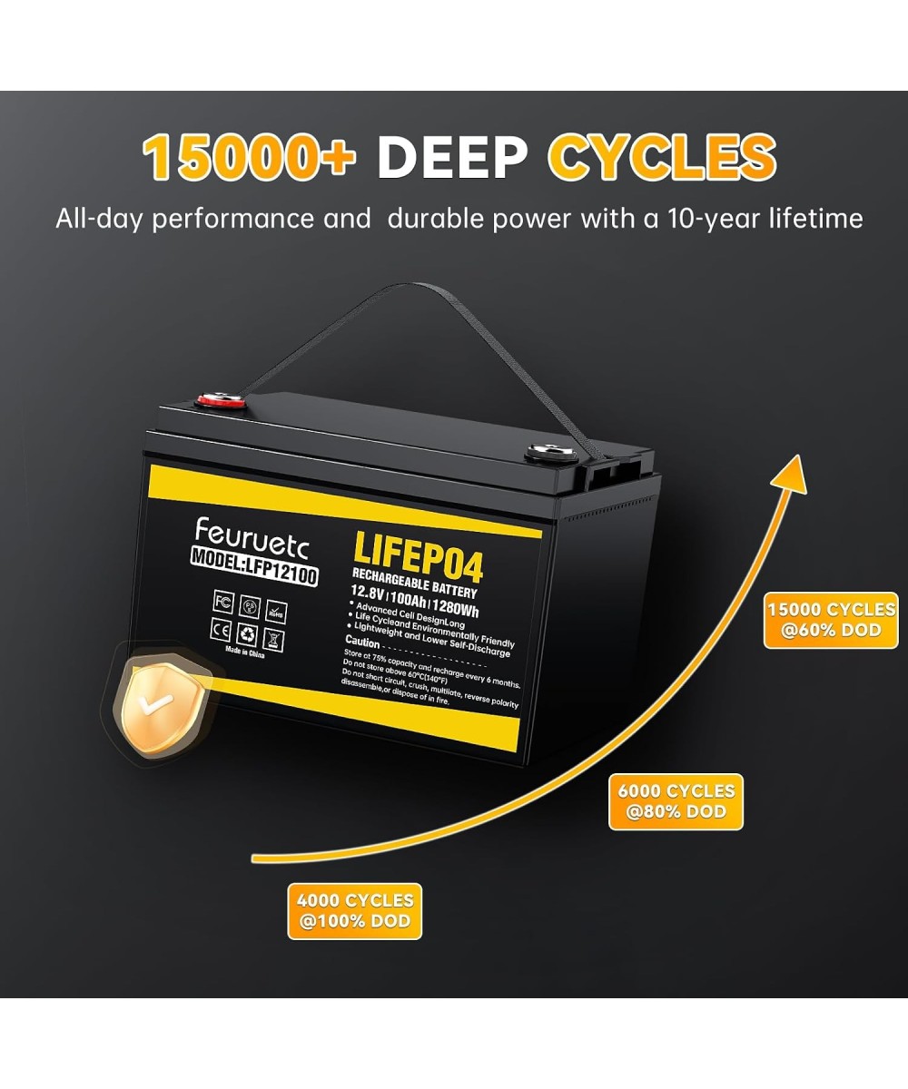 Batería de ciclo profundo LiFePO4 de 12V 100Ah recargable FEURUETC
