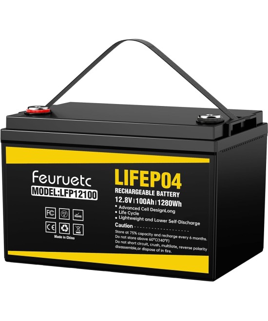Batería de ciclo profundo LiFePO4 de 12V 100Ah recargable FEURUETC