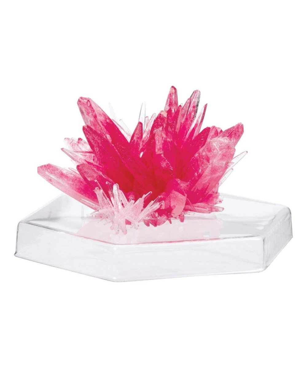 Robot Kids Experimento de cultivo de cristales